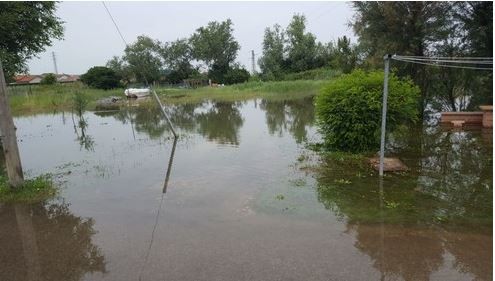 Le nutrie fanno crollare l’argine