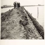 Lavori per il rialzo e la sistemazione degli argini del collettore Padano-Polesano, del canale Sadocca. Work of raising and arrangement of the banks of the Padano Polesano manifold, of the Sadocca Esterno canal