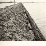 Lavori per il rialzo e la sistemazione degli argini del collettore Padano-Polesano, del canale Sadocca. Work of raising and arrangement of the banks of the Padano Polesano manifold, of the Sadocca Esterno canal a